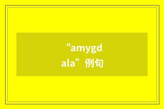 “amygdala”例句