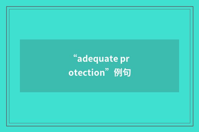 “adequate protection”例句