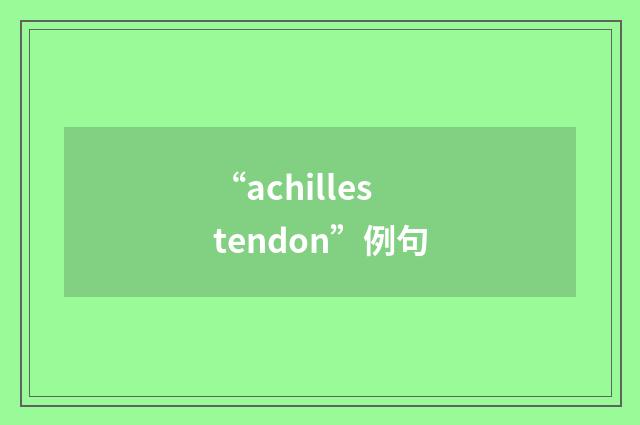 “achilles tendon”例句