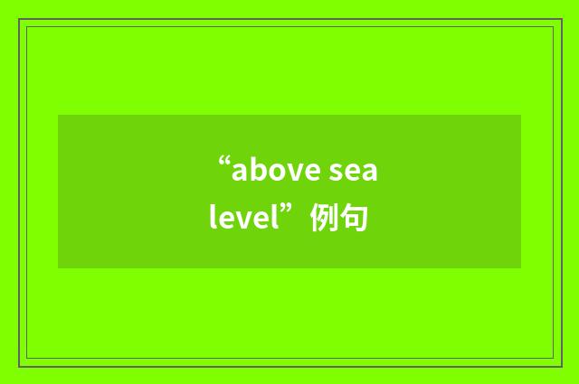 “above sea level”例句