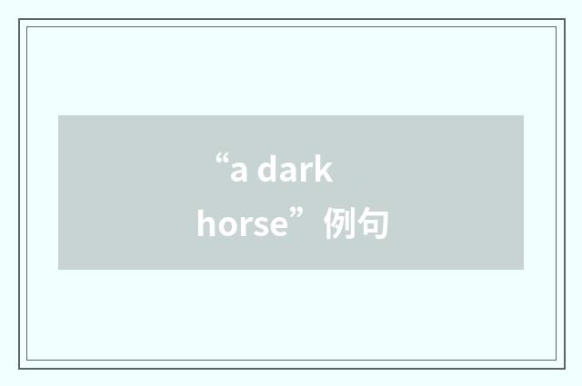 “a dark horse”例句