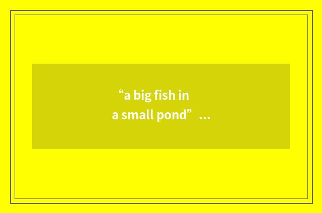 “a big fish in a small pond”例句