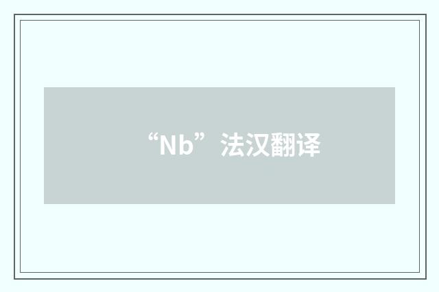 “Nb”法汉翻译