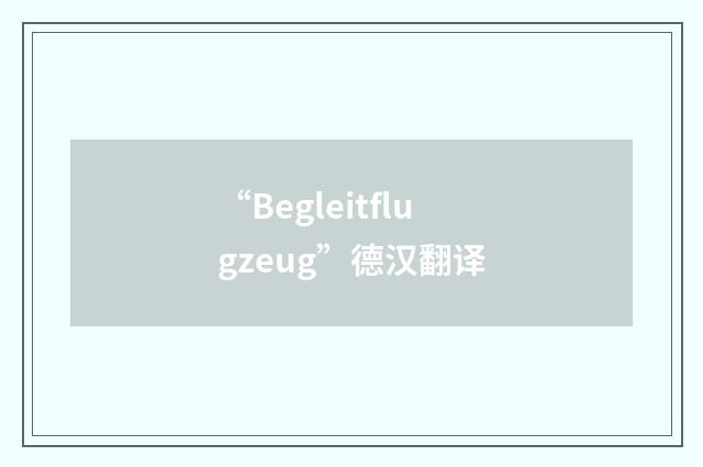 “Begleitflugzeug”德汉翻译