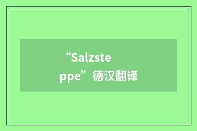 “Salzsteppe”德汉翻译