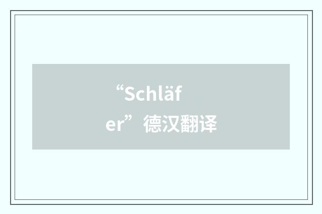 “Schläfer”德汉翻译