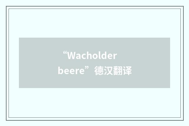 “Wacholderbeere”德汉翻译