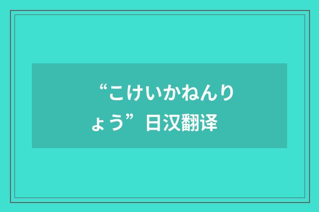 “こけいかねんりょう”日汉翻译