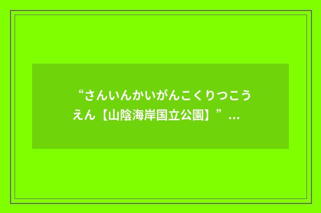 “さんいんかいがんこくりつこうえん【山陰海岸国立公園】”日汉翻译