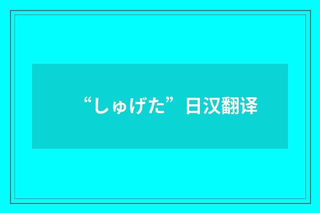 “しゅげた”日汉翻译