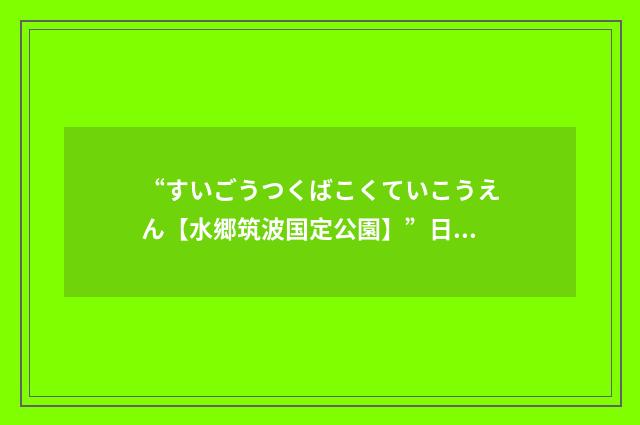 “すいごうつくばこくていこうえん【水郷筑波国定公園】”日汉翻译