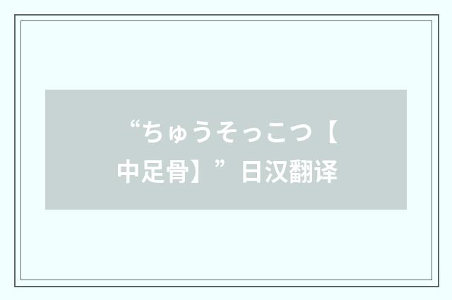 “ちゅうそっこつ【中足骨】”日汉翻译
