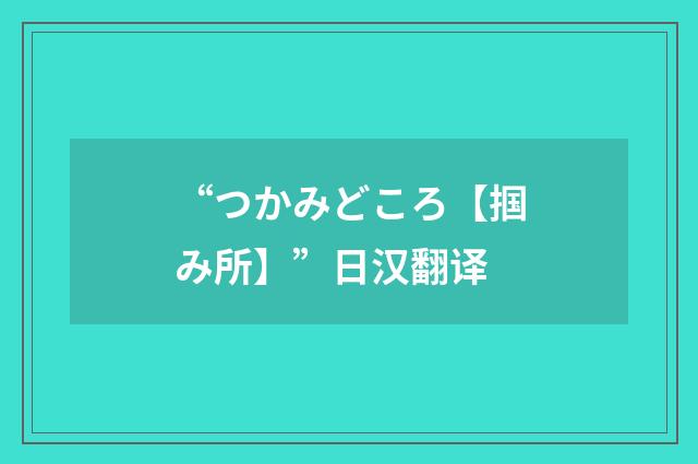 “つかみどころ【掴み所】”日汉翻译