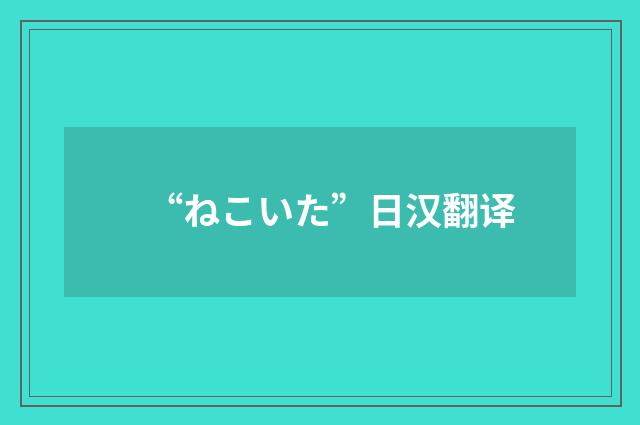 “ねこいた”日汉翻译