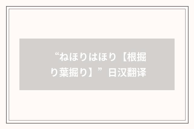 “ねほりはほり【根掘り葉掘り】”日汉翻译