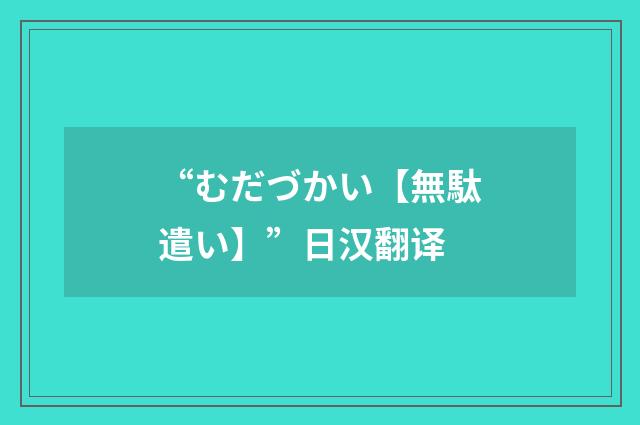 “むだづかい【無駄遣い】”日汉翻译
