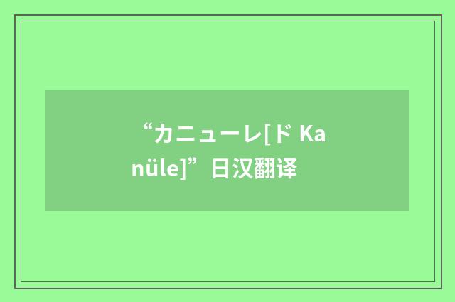“カニューレ[ド Kanüle]”日汉翻译