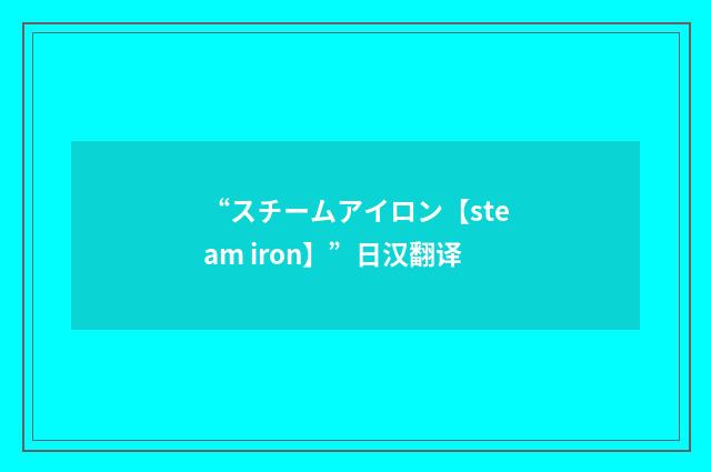 “スチームアイロン【steam iron】”日汉翻译
