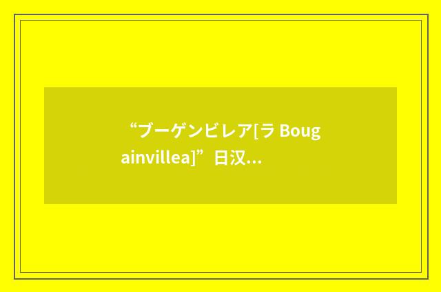 “ブーゲンビレア[ラ Bougainvillea]”日汉翻译