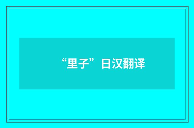 “里子”日汉翻译