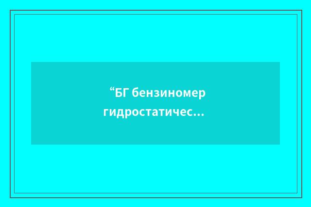 “БГ бензиномер гидростатический”俄汉翻译
