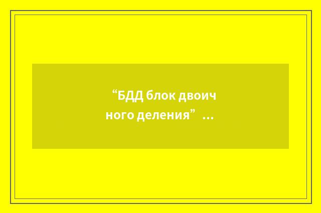 “БДД блок двоичного деления”俄汉翻译