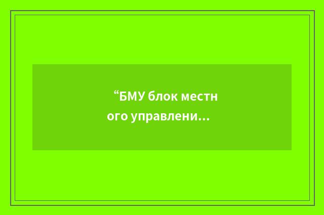 “БМУ блок местного управления”俄汉翻译