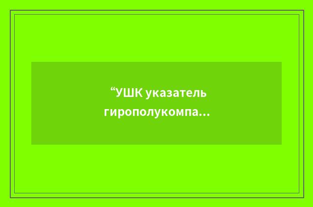 “УШК указатель гирополукомпаса”俄汉翻译