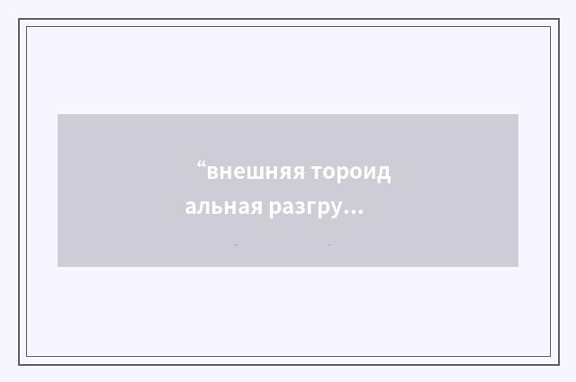 “внешняя тороидальная разгрузочная камера”俄汉翻译