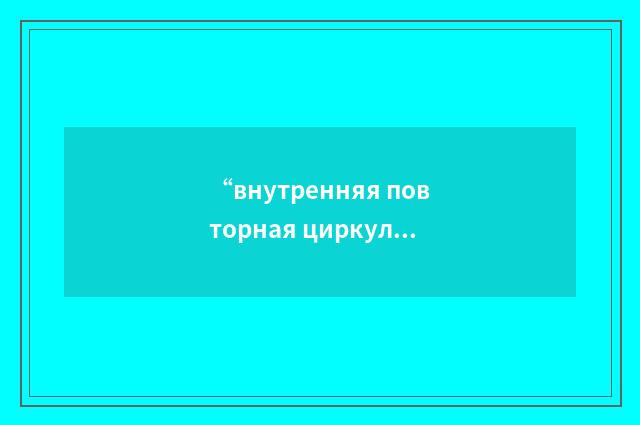 “внутренняя повторная циркуляция теплоносителя”俄汉翻译