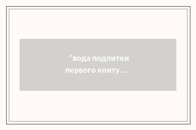 “вода подпитки первого контура”俄汉翻译