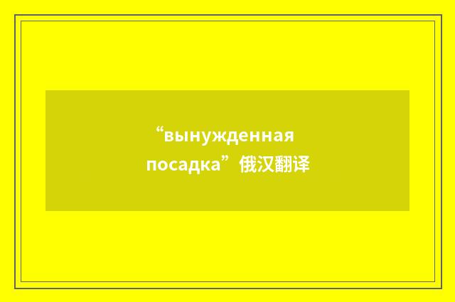 “вынужденная посадка”俄汉翻译