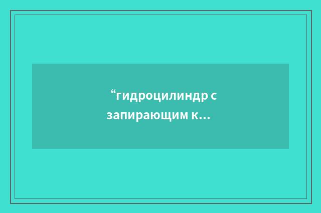 “гидроцилиндр с запирающим клапаном-ограничителем”俄汉翻译
