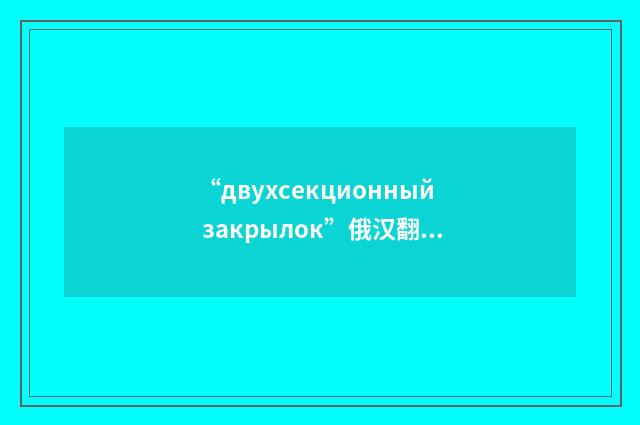 “двухсекционный закрылок”俄汉翻译