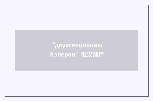 “двухсекционный элерон”俄汉翻译