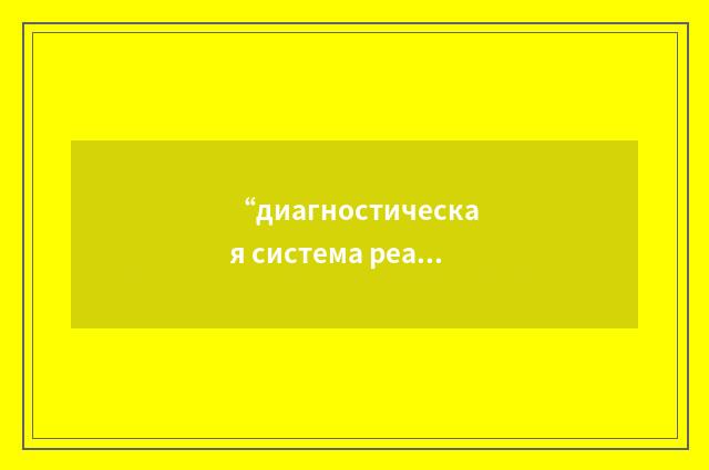 “диагностическая система реактора”俄汉翻译