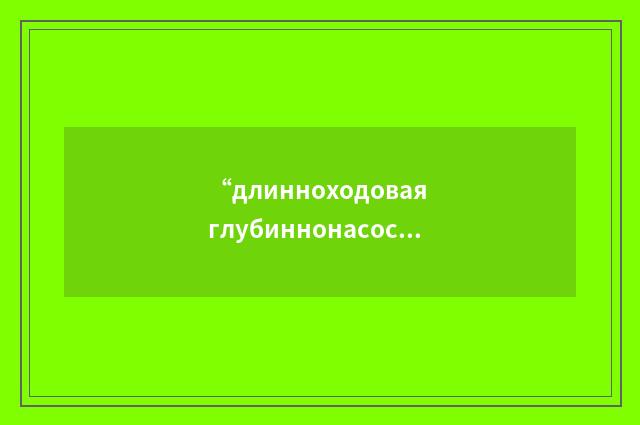 “длинноходовая глубиннонасосная установка”俄汉翻译