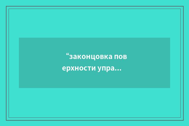 “законцовка поверхности управления”俄汉翻译