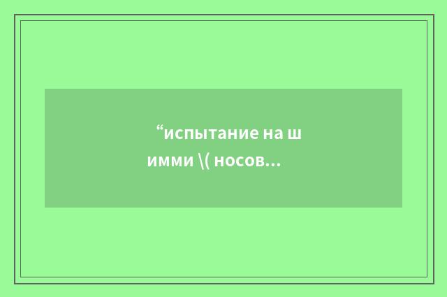 “испытание на шимми \( носового колеса\)”俄汉翻译
