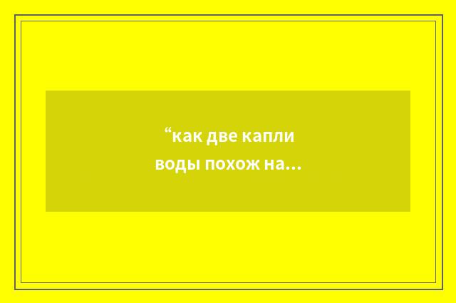 “как две капли воды похож на”俄汉翻译