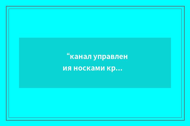 “канал управления носками крыла”俄汉翻译