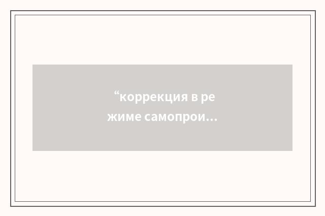 “коррекция в режиме самопроизвольных включений и выключений”俄汉翻译