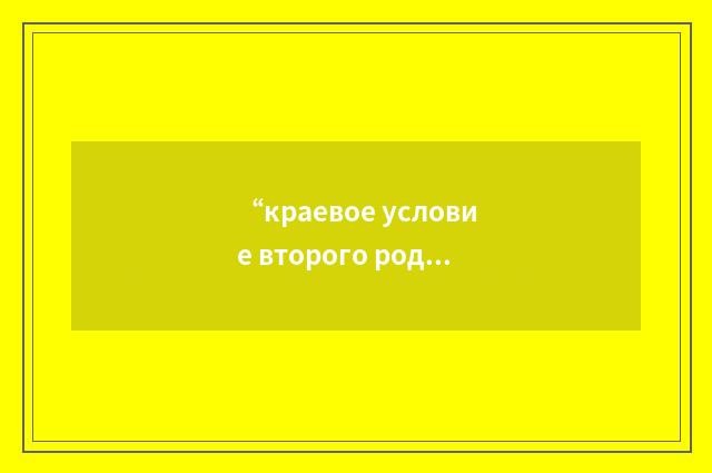 “краевое условие второго рода”俄汉翻译