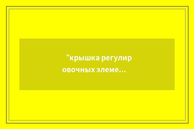 “крышка регулировочных элементов”俄汉翻译
