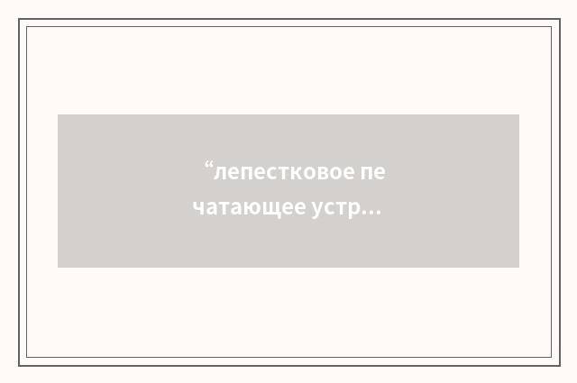 “лепестковое печатающее устройство”俄汉翻译
