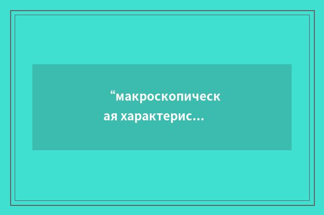 “макроскопическая характеристика”俄汉翻译