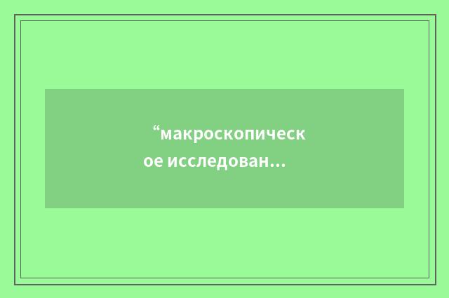 “макроскопическое исследование”俄汉翻译