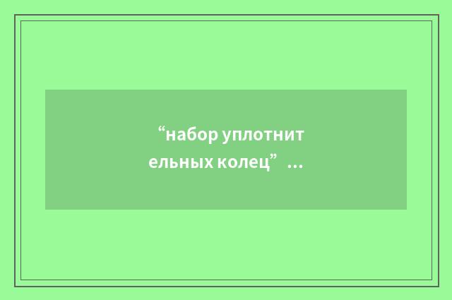 “набор уплотнительных колец”俄汉翻译