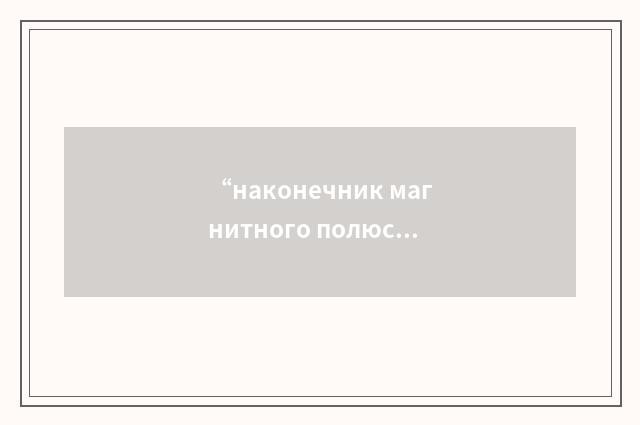 “наконечник магнитного полюса”俄汉翻译