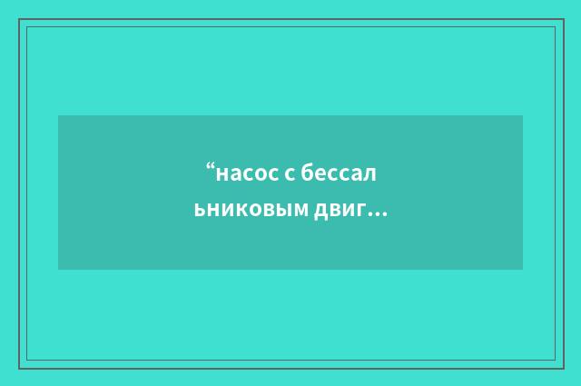 “насос с бессальниковым двигателем”俄汉翻译